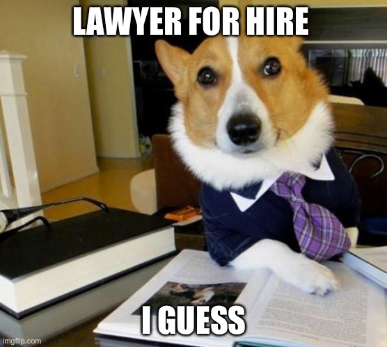 Lawyer Corgi Dog |  LAWYER FOR HIRE; I GUESS | image tagged in lawyer corgi dog | made w/ Imgflip meme maker
