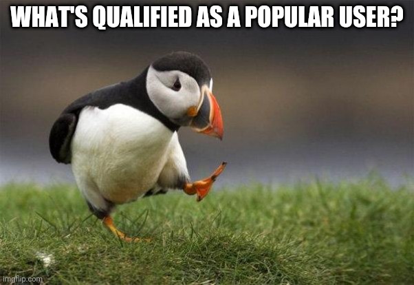 Popular opinion puffin | WHAT'S QUALIFIED AS A POPULAR USER? | image tagged in popular opinion puffin | made w/ Imgflip meme maker