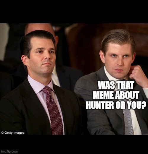 Donald Jr. and Eric Trump | WAS THAT MEME ABOUT HUNTER OR YOU? | image tagged in donald jr and eric trump | made w/ Imgflip meme maker