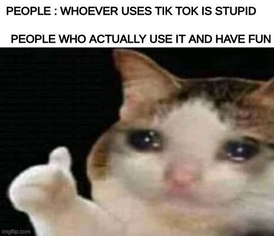 bruh |  PEOPLE : WHOEVER USES TIK TOK IS STUPID; PEOPLE WHO ACTUALLY USE IT AND HAVE FUN | image tagged in crying cat thumbs up | made w/ Imgflip meme maker