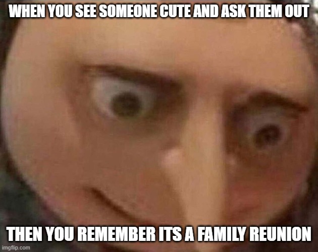 gru meme | WHEN YOU SEE SOMEONE CUTE AND ASK THEM OUT; THEN YOU REMEMBER ITS A FAMILY REUNION | image tagged in gru meme,fun | made w/ Imgflip meme maker