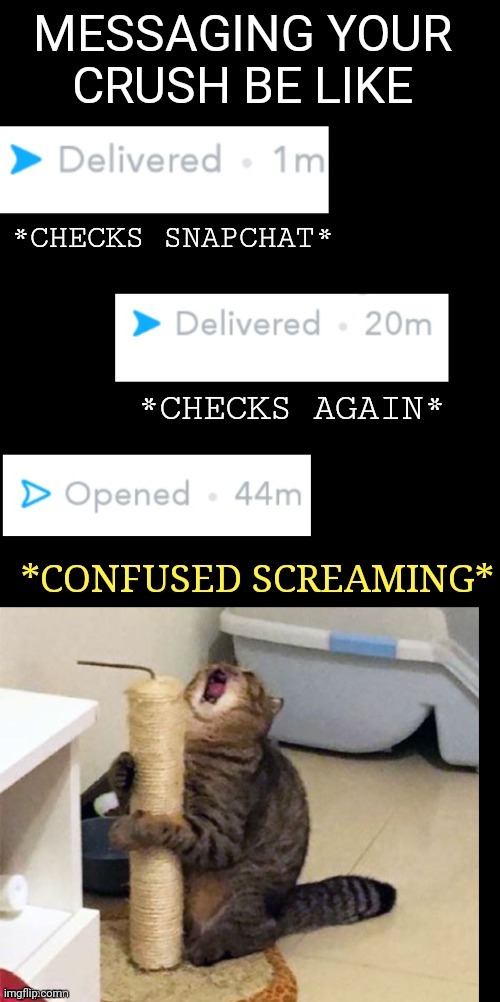 the screaming angry cat is us all when our crush ignores us | image tagged in memes,meme,funny,grumpy cat,funny memes | made w/ Imgflip meme maker