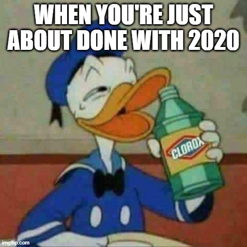 End It | WHEN YOU'RE JUST ABOUT DONE WITH 2020 | image tagged in donald duck bleach | made w/ Imgflip meme maker