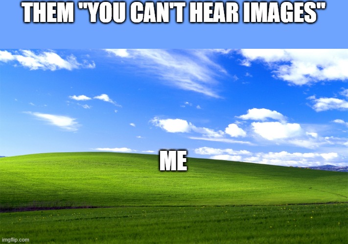 THEM "YOU CAN'T HEAR IMAGES"; ME | image tagged in windows xp | made w/ Imgflip meme maker