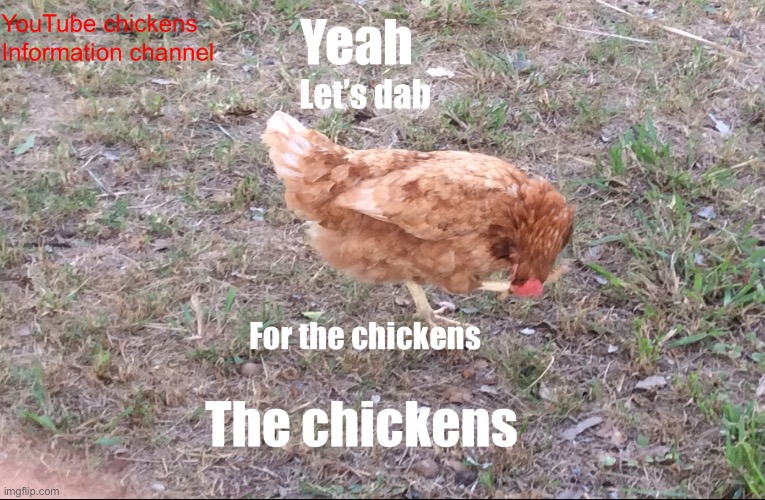 Let’s see how many views This chicken dabbing can get | image tagged in yeah the chickens let s dab for the chickens | made w/ Imgflip meme maker