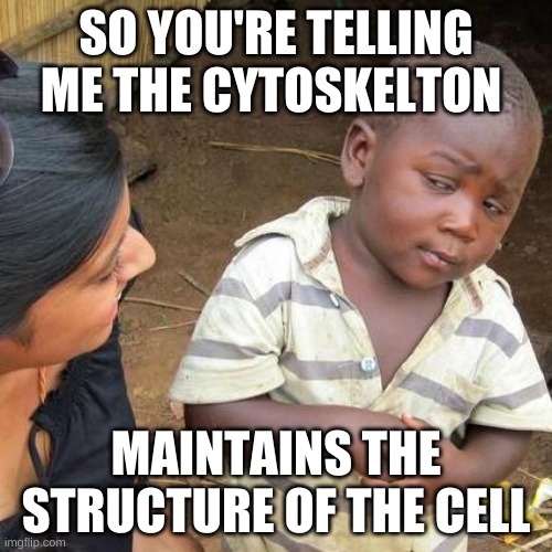 Third World Skeptical Kid Meme | SO YOU'RE TELLING ME THE CYTOSKELTON; MAINTAINS THE STRUCTURE OF THE CELL | image tagged in memes,third world skeptical kid | made w/ Imgflip meme maker