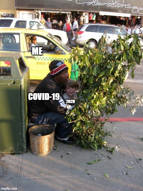 Bush Man | ME; COVID-19; 2020 | image tagged in bush man | made w/ Imgflip meme maker