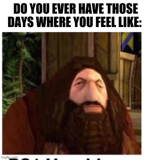 PS1 Hagrid | DO YOU EVER HAVE THOSE DAYS WHERE YOU FEEL LIKE: | image tagged in ps1 hagrid | made w/ Imgflip meme maker
