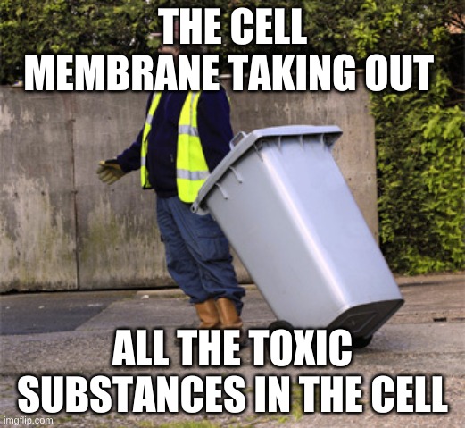 taking out the trash  | THE CELL MEMBRANE TAKING OUT; ALL THE TOXIC SUBSTANCES IN THE CELL | image tagged in taking out the trash | made w/ Imgflip meme maker
