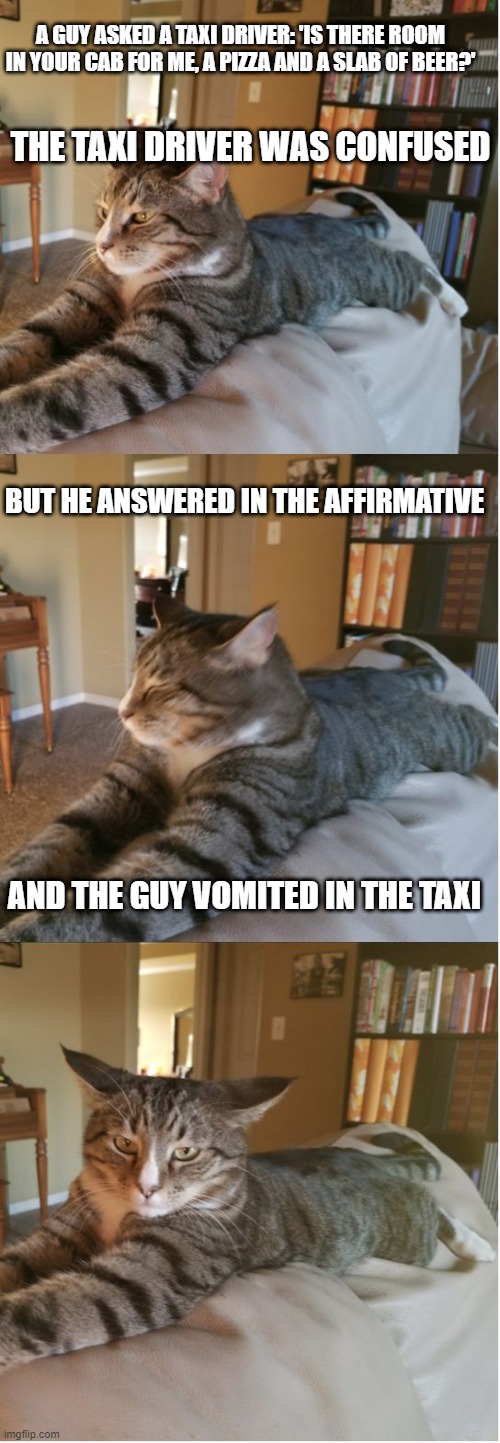 A Misunderstanding [joke] | A GUY ASKED A TAXI DRIVER: 'IS THERE ROOM IN YOUR CAB FOR ME, A PIZZA AND A SLAB OF BEER?'; THE TAXI DRIVER WAS CONFUSED; BUT HE ANSWERED IN THE AFFIRMATIVE; AND THE GUY VOMITED IN THE TAXI | image tagged in bad cat joke,memes,misunderstanding,jokes,funny,cats | made w/ Imgflip meme maker