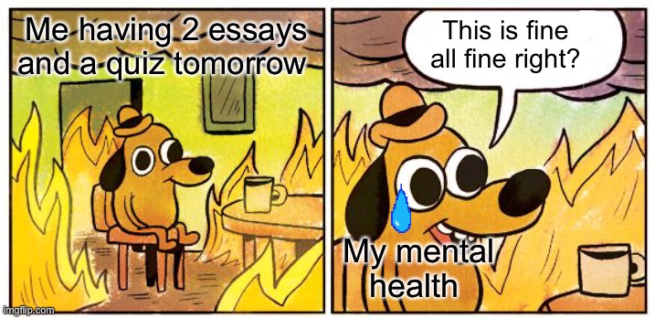 My mental health | Me having 2 essays and a quiz tomorrow; This is fine all fine right? My mental health | image tagged in memes,this is fine | made w/ Imgflip meme maker