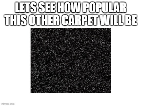 LETS SEE HOW POPULAR THIS OTHER CARPET WILL BE | image tagged in carpet | made w/ Imgflip meme maker