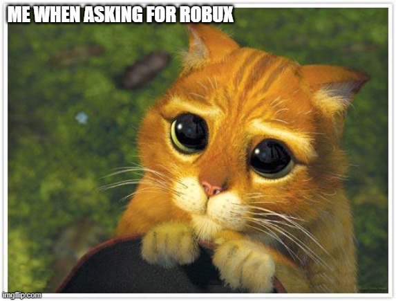 Shrek Cat | ME WHEN ASKING FOR ROBUX | image tagged in memes,shrek cat | made w/ Imgflip meme maker