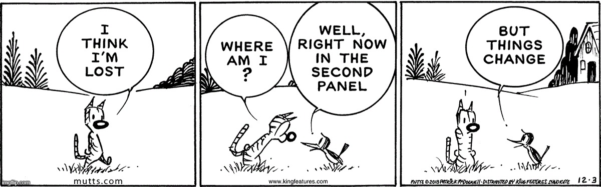 panels go fast huh? | image tagged in comics,panels,things change fast,tiger and bird | made w/ Imgflip meme maker