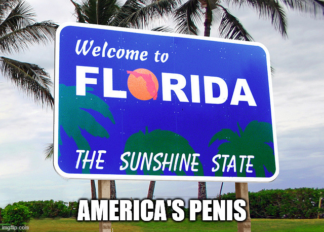 Florida | AMERICA'S PENIS | image tagged in florida | made w/ Imgflip meme maker