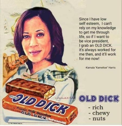 Kamala Harris Loves Old dicks | image tagged in dick,dick jokes,bag of dicks,dick in a box,kamala harris | made w/ Imgflip meme maker