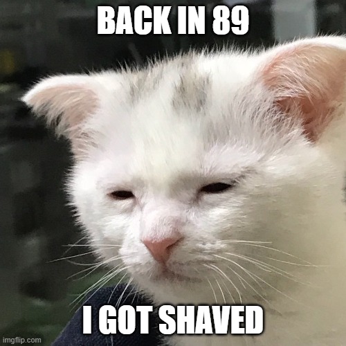 I'm awake, but at what cost? | BACK IN 89; I GOT SHAVED | image tagged in i'm awake but at what cost | made w/ Imgflip meme maker