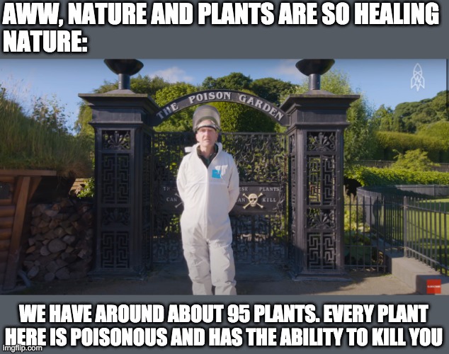 AWW, NATURE AND PLANTS ARE SO HEALING
NATURE:; WE HAVE AROUND ABOUT 95 PLANTS. EVERY PLANT HERE IS POISONOUS AND HAS THE ABILITY TO KILL YOU | image tagged in plants | made w/ Imgflip meme maker