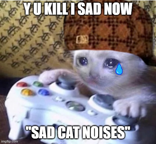 Y U KILL I SAD NOW; "SAD CAT NOISES" | image tagged in sad cat | made w/ Imgflip meme maker