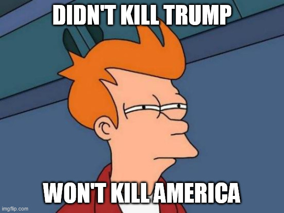 Futurama Fry Meme | DIDN'T KILL TRUMP WON'T KILL AMERICA | image tagged in memes,futurama fry | made w/ Imgflip meme maker