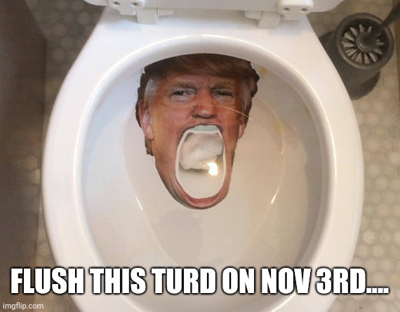 Turd | FLUSH THIS TURD ON NOV 3RD.... | image tagged in donald trump,deplorable donald | made w/ Imgflip meme maker