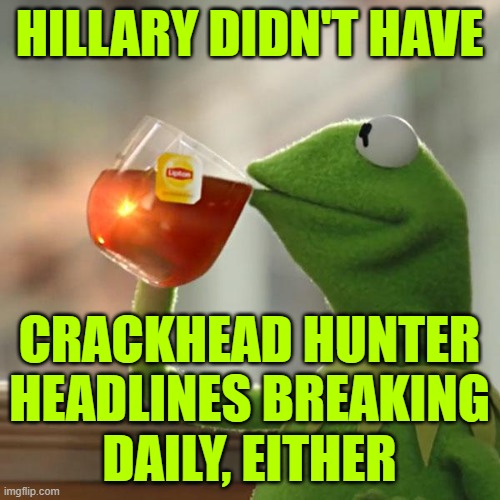 But That's None Of My Business Meme | HILLARY DIDN'T HAVE CRACKHEAD HUNTER
HEADLINES BREAKING
DAILY, EITHER | image tagged in memes,but that's none of my business,kermit the frog | made w/ Imgflip meme maker