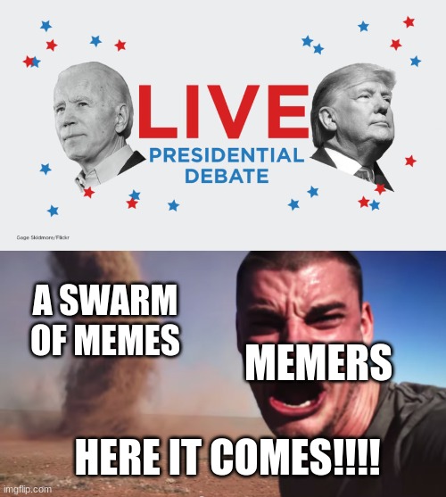 HERE IT COMES | A SWARM OF MEMES; MEMERS; HERE IT COMES!!!! | image tagged in here it comes,memes | made w/ Imgflip meme maker