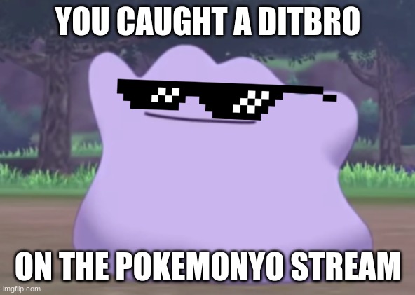 Follow now | YOU CAUGHT A DITBRO; ON THE POKEMONYO STREAM | image tagged in pokemon,stream | made w/ Imgflip meme maker