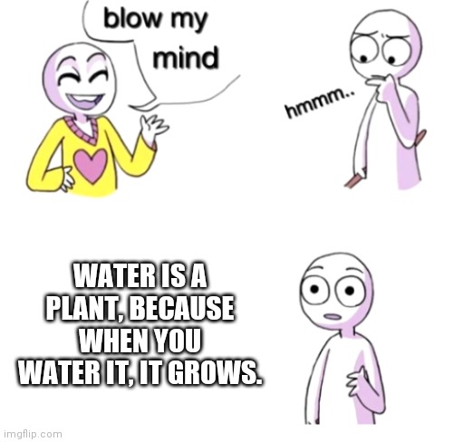 Blow my mind | WATER IS A PLANT, BECAUSE WHEN YOU WATER IT, IT GROWS. | image tagged in blow my mind | made w/ Imgflip meme maker