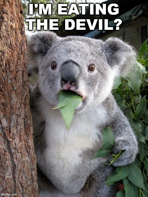Surprised Koala Meme | I'M EATING THE DEVIL? | image tagged in memes,surprised koala | made w/ Imgflip meme maker