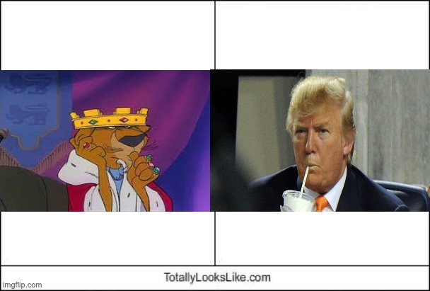 Totally Looks Like | image tagged in totally looks like | made w/ Imgflip meme maker