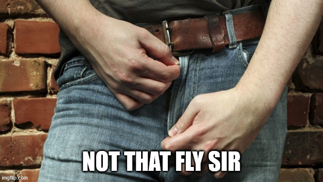 zipper | NOT THAT FLY SIR | image tagged in zipper | made w/ Imgflip meme maker
