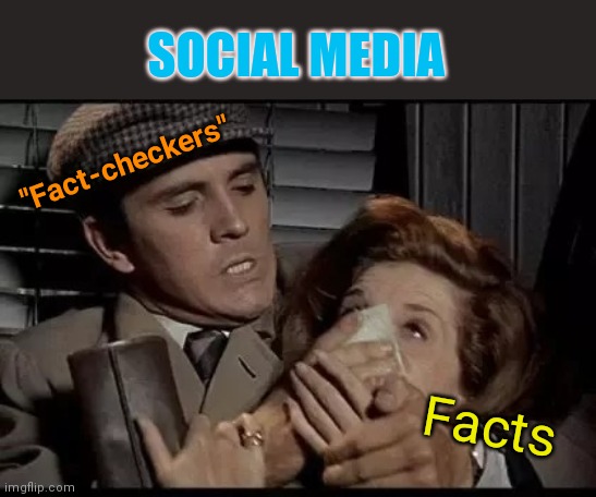 Social media bully tactics | SOCIAL MEDIA; "Fact-checkers"; Facts | image tagged in social media,twitter,facebook,google,silencing free speech,big brother | made w/ Imgflip meme maker