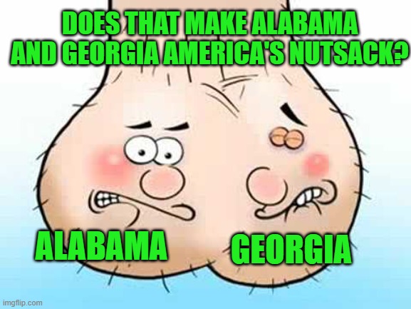 Testicles - balls | ALABAMA GEORGIA DOES THAT MAKE ALABAMA AND GEORGIA AMERICA'S NUTSACK? | image tagged in testicles - balls | made w/ Imgflip meme maker