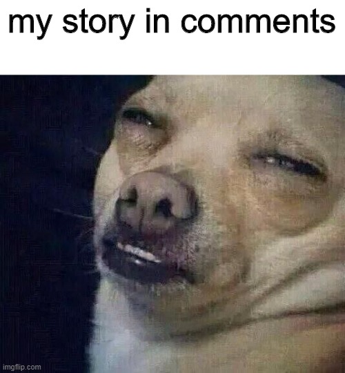 hAhA | my story in comments | image tagged in too dank | made w/ Imgflip meme maker