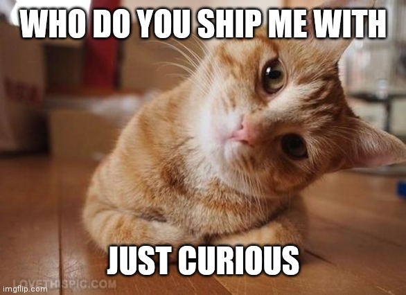 I am not looking for a ship, just curious | WHO DO YOU SHIP ME WITH; JUST CURIOUS | image tagged in curious question cat | made w/ Imgflip meme maker