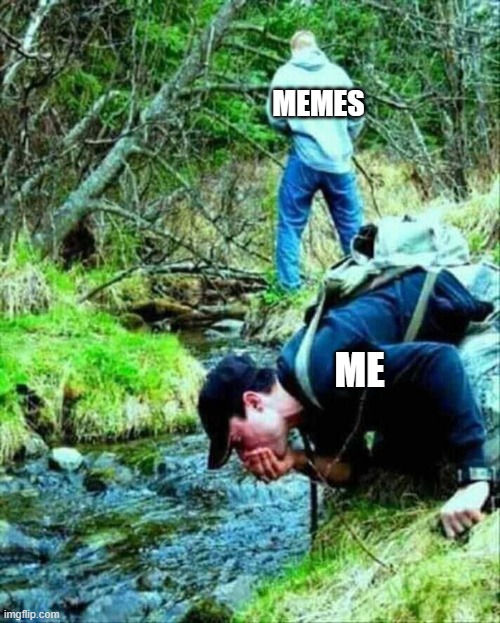 literally everybody on imgflip | MEMES; ME | image tagged in pee water | made w/ Imgflip meme maker