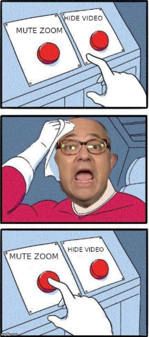 Zoom Gone Wrong | image tagged in metoo,jeffrey toobin,liberal hypocrisy,cnn,zoom,liberal media | made w/ Imgflip meme maker