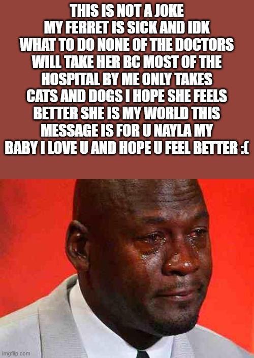 sorry i made this but im very sad rn | THIS IS NOT A JOKE MY FERRET IS SICK AND IDK WHAT TO DO NONE OF THE DOCTORS WILL TAKE HER BC MOST OF THE HOSPITAL BY ME ONLY TAKES CATS AND DOGS I HOPE SHE FEELS BETTER SHE IS MY WORLD THIS MESSAGE IS FOR U NAYLA MY BABY I LOVE U AND HOPE U FEEL BETTER :( | image tagged in crying michael jordan,ferret,sick,sad,memes,emotional | made w/ Imgflip meme maker