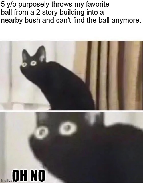 OH NO | 5 y/o purposely throws my favorite ball from a 2 story building into a nearby bush and can't find the ball anymore:; OH NO | image tagged in oh no black cat | made w/ Imgflip meme maker