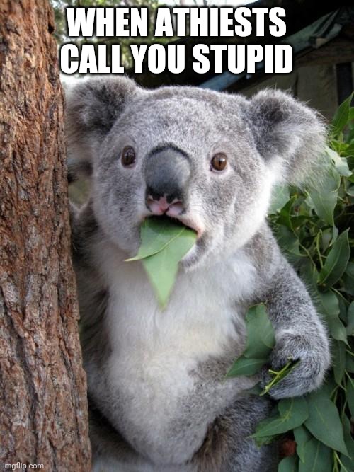 Surprised Koala Meme | WHEN ATHIESTS CALL YOU STUPID | image tagged in memes,surprised koala | made w/ Imgflip meme maker