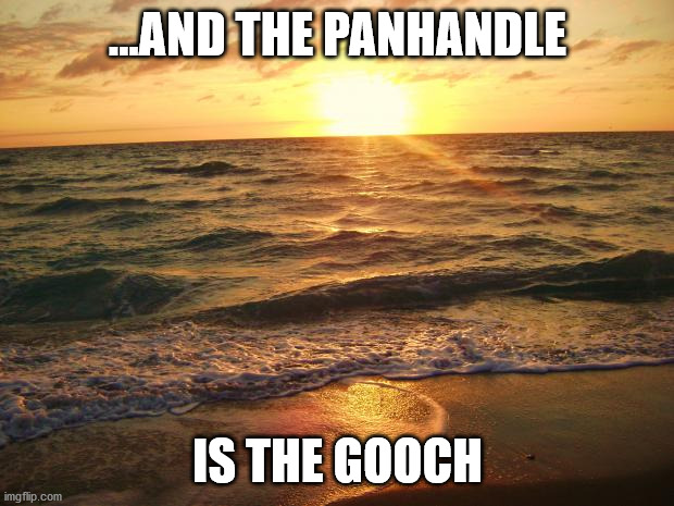 Florida Sunrise | ...AND THE PANHANDLE IS THE GOOCH | image tagged in florida sunrise | made w/ Imgflip meme maker