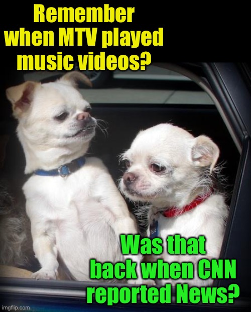 When the 1st N in CNN stood for News | Remember when MTV played music videos? Was that back when CNN reported News? | image tagged in talking dogs,cnn,cnn fake news | made w/ Imgflip meme maker