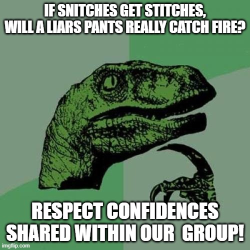 Philosoraptor | IF SNITCHES GET STITCHES, WILL A LIARS PANTS REALLY CATCH FIRE? RESPECT CONFIDENCES SHARED WITHIN OUR  GROUP! | image tagged in memes,philosoraptor | made w/ Imgflip meme maker