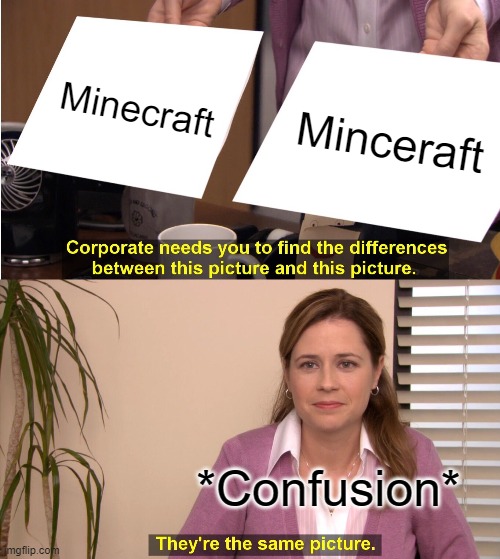 They're The Same Picture | Minecraft; Minceraft; *Confusion* | image tagged in memes,they're the same picture | made w/ Imgflip meme maker