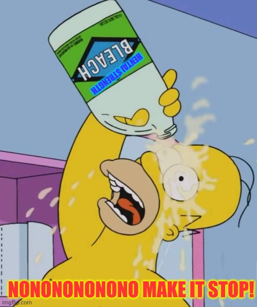 Homer with bleach | NONONONONONO MAKE IT STOP! HENTAI STRENGTH | image tagged in homer with bleach | made w/ Imgflip meme maker