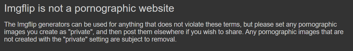 High Quality ImgFlip is not a pornographic website Blank Meme Template