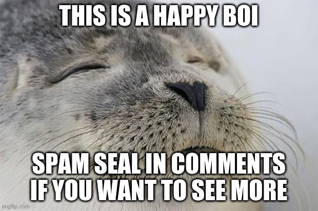 seal boi | THIS IS A HAPPY BOI; SPAM SEAL IN COMMENTS IF YOU WANT TO SEE MORE | image tagged in memes,satisfied seal | made w/ Imgflip meme maker