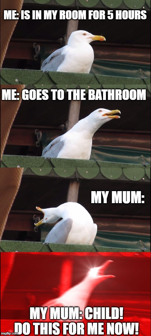 its so annoying when this happens. | ME: IS IN MY ROOM FOR 5 HOURS; ME: GOES TO THE BATHROOM; MY MUM:; MY MUM: CHILD! DO THIS FOR ME NOW! | image tagged in memes,inhaling seagull | made w/ Imgflip meme maker