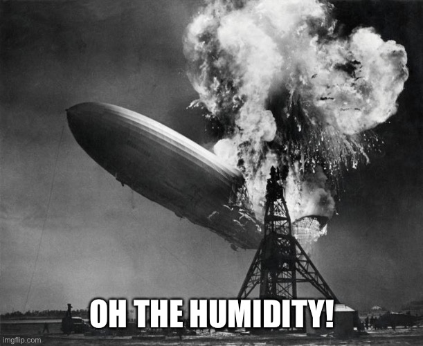 oh the humanity | OH THE HUMIDITY! | image tagged in oh the humanity | made w/ Imgflip meme maker